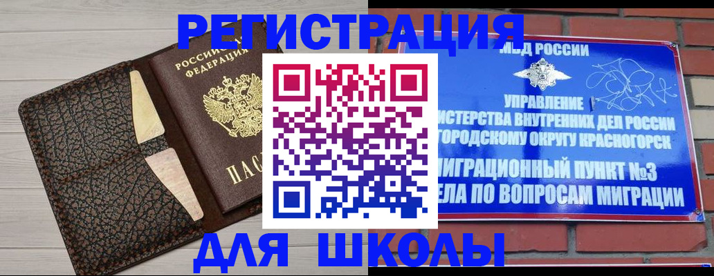 прописка в Советске